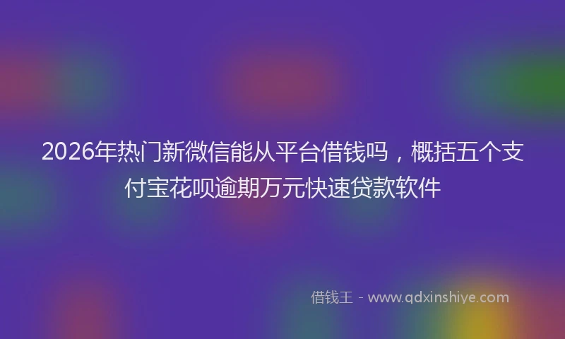 2026年热门新微信能从平台借钱吗，概括五个支付宝花呗逾期万元快速贷款软件