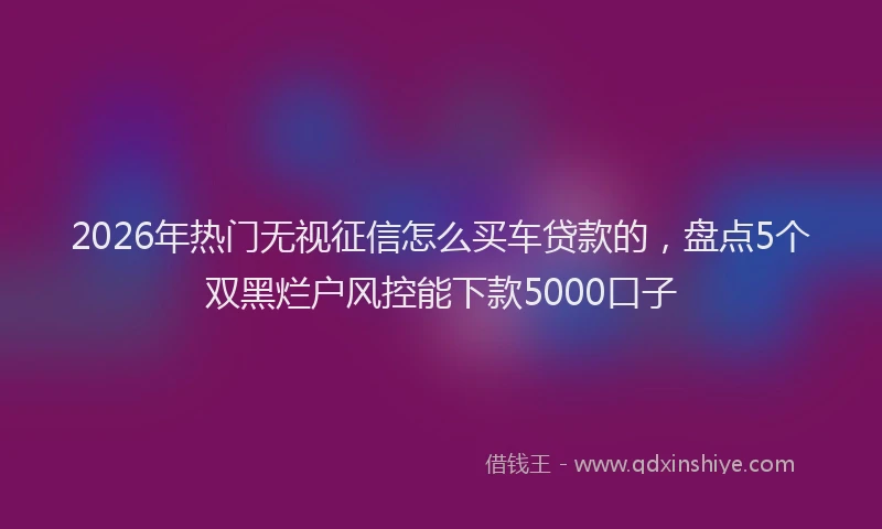 2026年热门无视征信怎么买车贷款的，盘点5个双黑烂户风控能下款5000口子