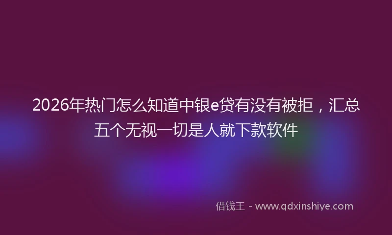 2026年热门怎么知道中银e贷有没有被拒，汇总五个无视一切是人就下款软件