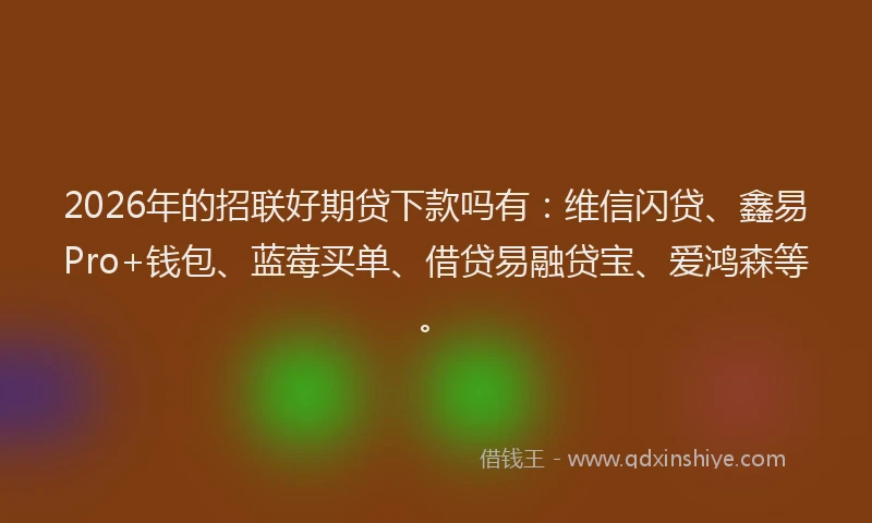 2026年的招联好期贷下款吗有：维信闪贷、鑫易Pro+钱包、蓝莓买单、借贷易融贷宝、爱鸿森等。