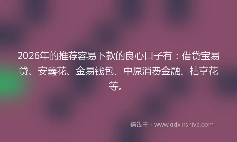 2026年的推荐容易下款的良心口子有：借贷宝易贷、安鑫花、金易钱包、中原消费金融、桔享花等。