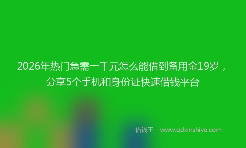 2026年热门急需一千元怎么能借到备用金19岁，分享5个手机和身份证快速借钱平台