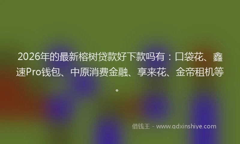 2026年的最新榕树贷款好下款吗有:口袋花、鑫速Pro钱包、中原消费金融、享来花、金帝租机等。