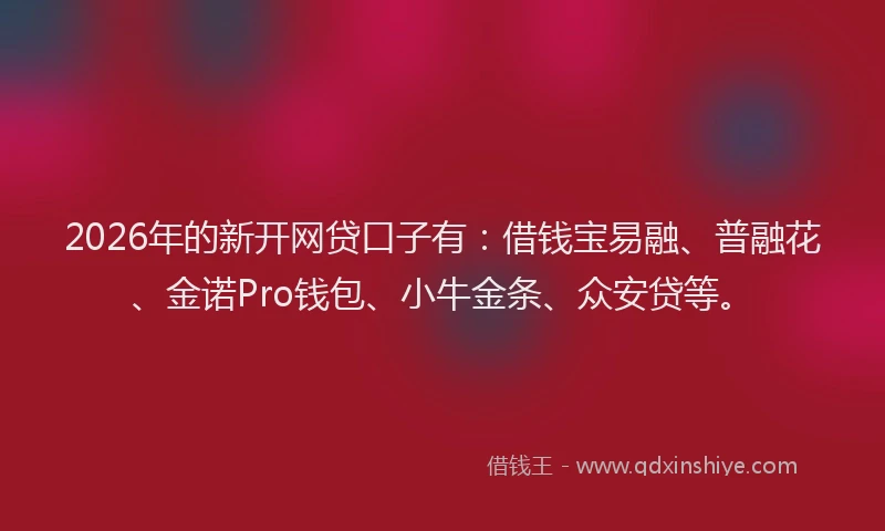 2026年的新开网贷口子有：借钱宝易融、普融花、金诺Pro钱包、小牛金条、众安贷等。