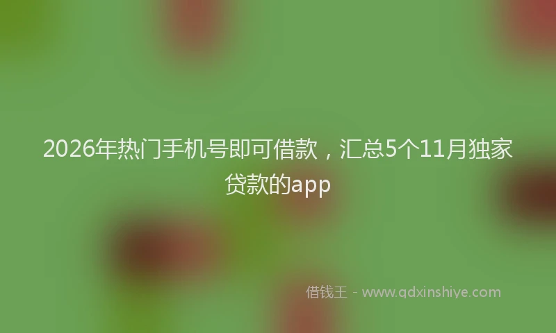 2026年热门手机号即可借款，汇总5个11月独家贷款的app