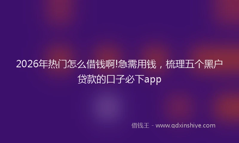 2026年热门怎么借钱啊!急需用钱,梳理五个黑户贷款的口子必下app