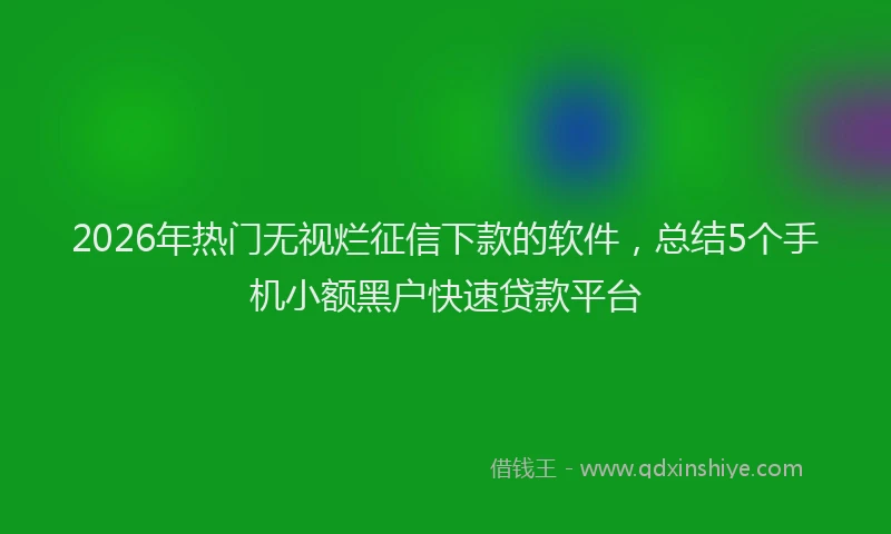 2026年热门无视烂征信下款的软件，总结5个手机小额黑户快速贷款平台