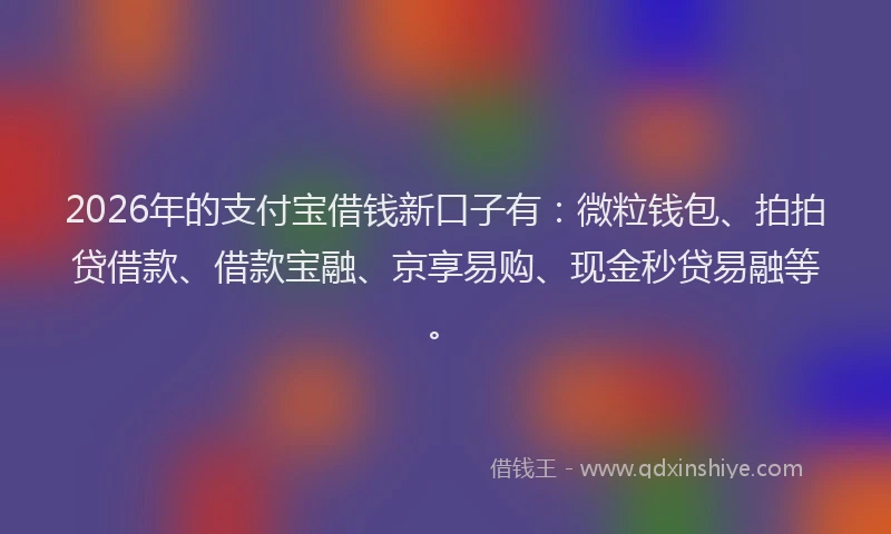 2026年的支付宝借钱新口子有：微粒钱包、拍拍贷借款、借款宝融、京享易购、现金秒贷易融等。