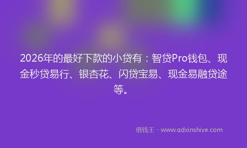 2026年的最好下款的小贷有：智贷Pro钱包、现金秒贷易行、银杏花、闪贷宝易、现金易融贷途等。