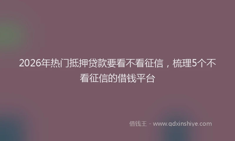 2026年热门抵押贷款要看不看征信，梳理5个不看征信的借钱平台