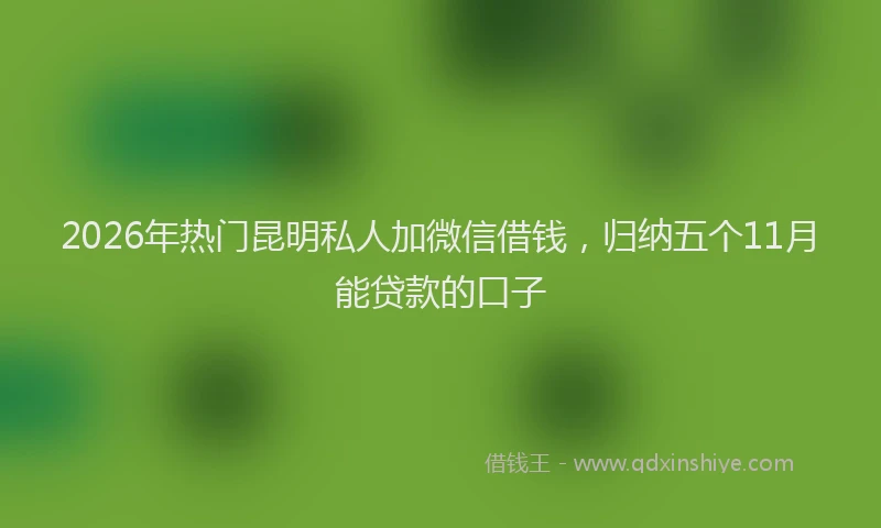 2026年热门昆明私人加微信借钱，归纳五个11月能贷款的口子