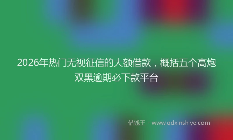 2026年热门无视征信的大额借款，概括五个高炮双黑逾期必下款平台