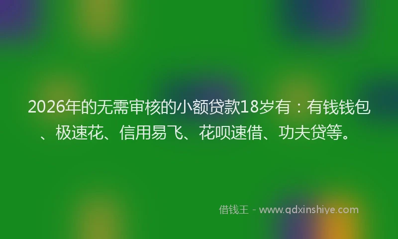 2026年的无需审核的小额贷款18岁有：有钱钱包、极速花、信用易飞、花呗速借、功夫贷等。