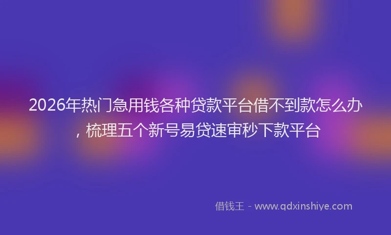 2026年热门急用钱各种贷款平台借不到款怎么办，梳理五个新号易贷速审秒下款平台