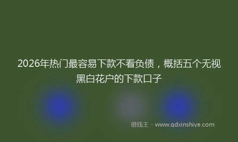 2026年热门最容易下款不看负债，概括五个无视黑白花户的下款口子