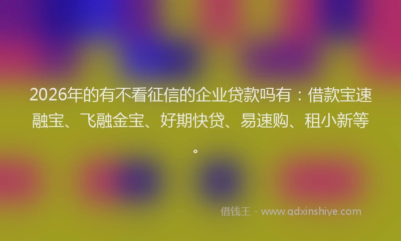 2026年的有不看征信的企业贷款吗有：借款宝速融宝、飞融金宝、好期快贷、易速购、租小新等。