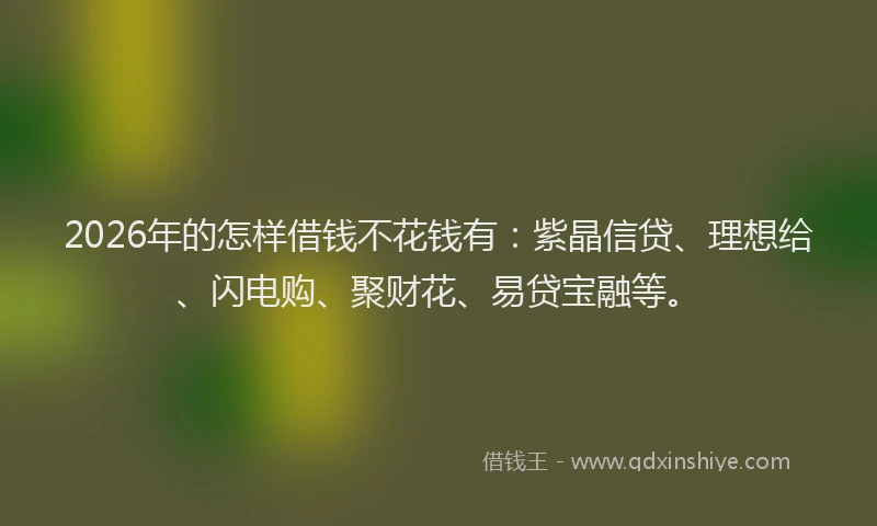 2026年的怎样借钱不花钱有：紫晶信贷、理想给、闪电购、聚财花、易贷宝融等。