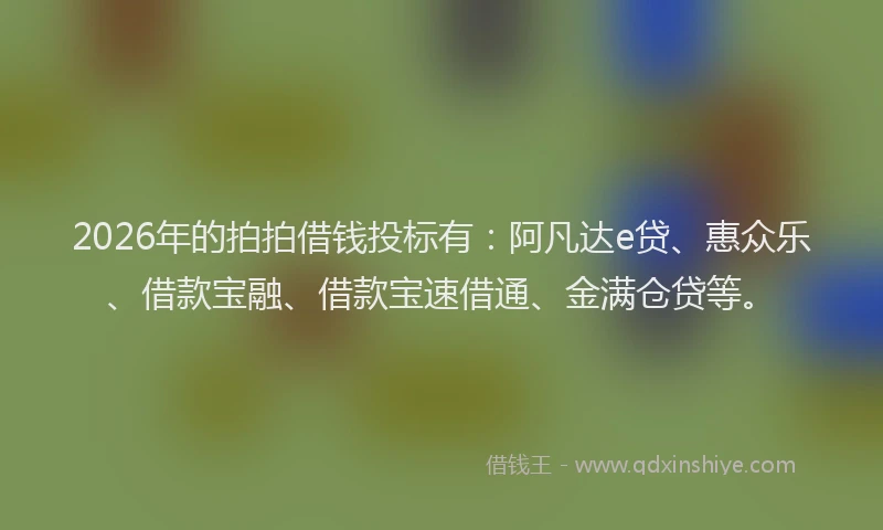 2026年的拍拍借钱投标有:阿凡达e贷、惠众乐、借款宝融、借款宝速借通、金满仓贷等。