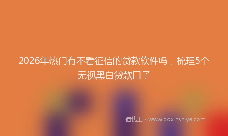 2026年热门有不看征信的贷款软件吗，梳理5个无视黑白贷款口子