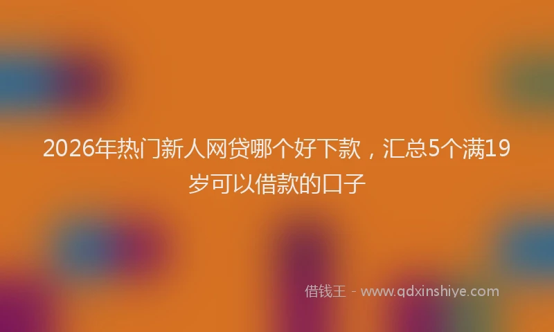 2026年热门新人网贷哪个好下款，汇总5个满19岁可以借款的口子
