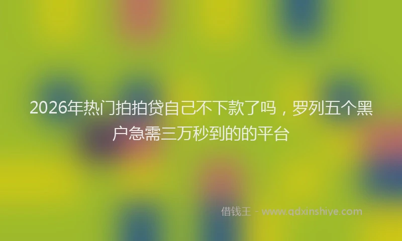 2026年热门拍拍贷自己不下款了吗，罗列五个黑户急需三万秒到的的平台