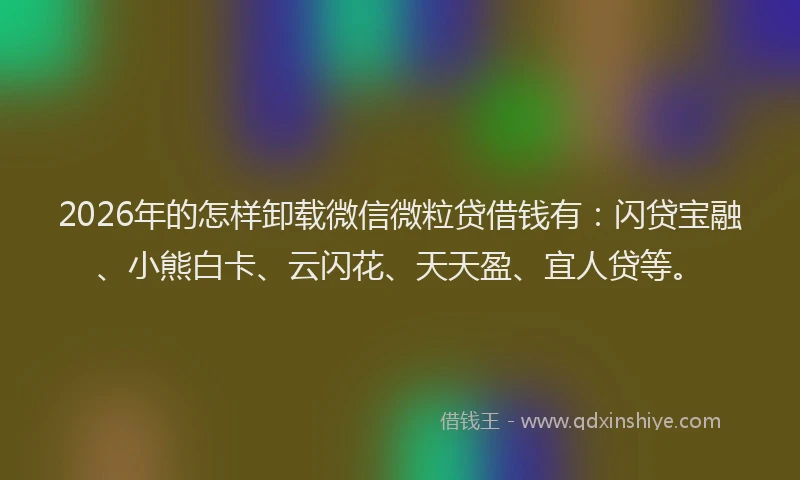 2026年的怎样卸载微信微粒贷借钱有：闪贷宝融、小熊白卡、云闪花、天天盈、宜人贷等。