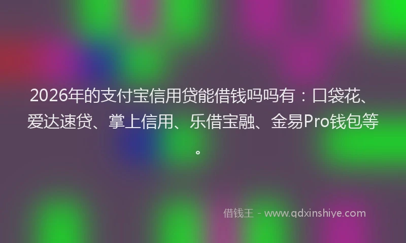 2026年的支付宝信用贷能借钱吗吗有：口袋花、爱达速贷、掌上信用、乐借宝融、金易Pro钱包等。