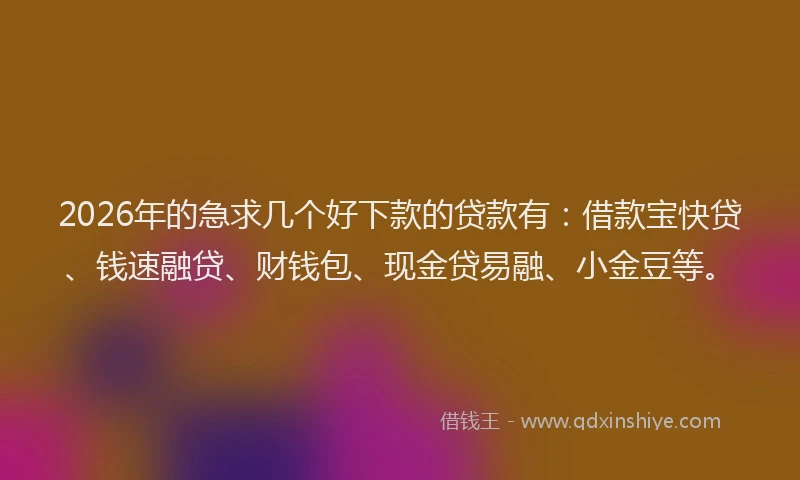 2026年的急求几个好下款的贷款有：借款宝快贷、钱速融贷、财钱包、现金贷易融、小金豆等。