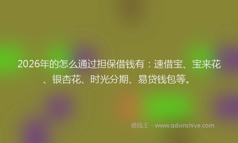 2026年的怎么通过担保借钱有：速借宝、宝来花、银杏花、时光分期、易贷钱包等。