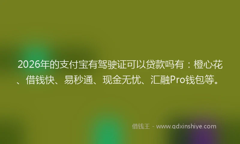 2026年的支付宝有驾驶证可以贷款吗有：橙心花、借钱快、易秒通、现金无忧、汇融Pro钱包等。