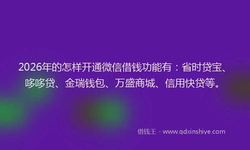 2026年的怎样开通微信借钱功能有：省时贷宝、哆哆贷、金瑞钱包、万盛商城、信用快贷等。