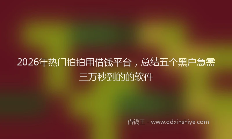 2026年热门拍拍用借钱平台，总结五个黑户急需三万秒到的的软件