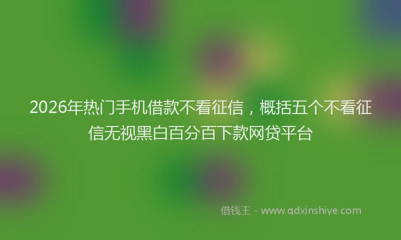 2026年热门手机借款不看征信，概括五个不看征信无视黑白百分百下款网贷平台