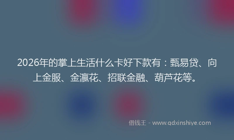 2026年的掌上生活什么卡好下款有：甄易贷、向上金服、金瀛花、招联金融、葫芦花等。
