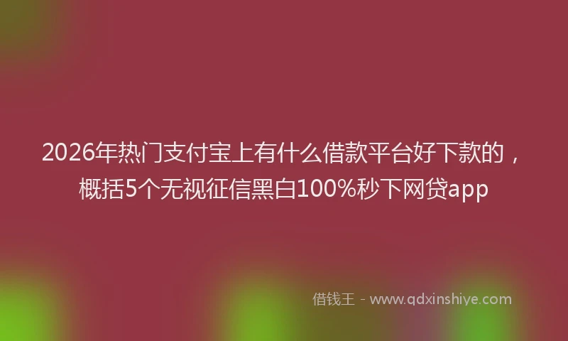 2026年热门支付宝上有什么借款平台好下款的，概括5个无视征信黑白100%秒下网贷app