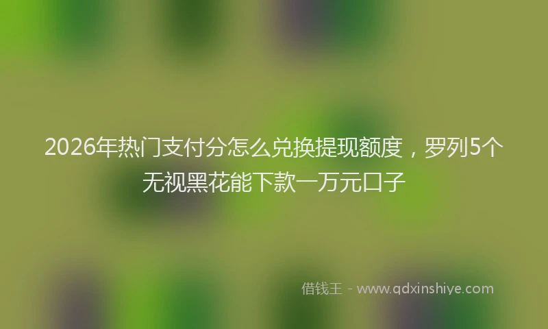 2026年热门支付分怎么兑换提现额度，罗列5个无视黑花能下款一万元口子