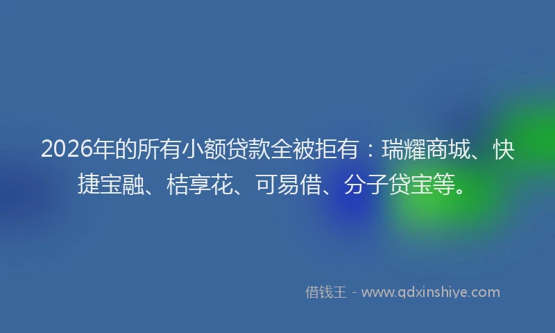 2026年的所有小额贷款全被拒有:瑞耀商城、快捷宝融、桔享花、可易借、分子贷宝等。