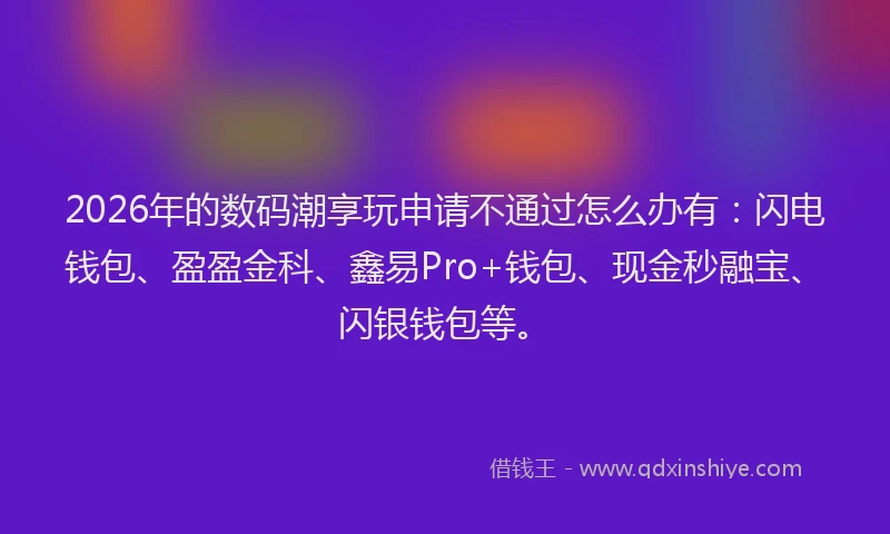 2026年的数码潮享玩申请不通过怎么办有:闪电钱包、盈盈金科、鑫易Pro+钱包、现金秒融宝、闪银钱包等。