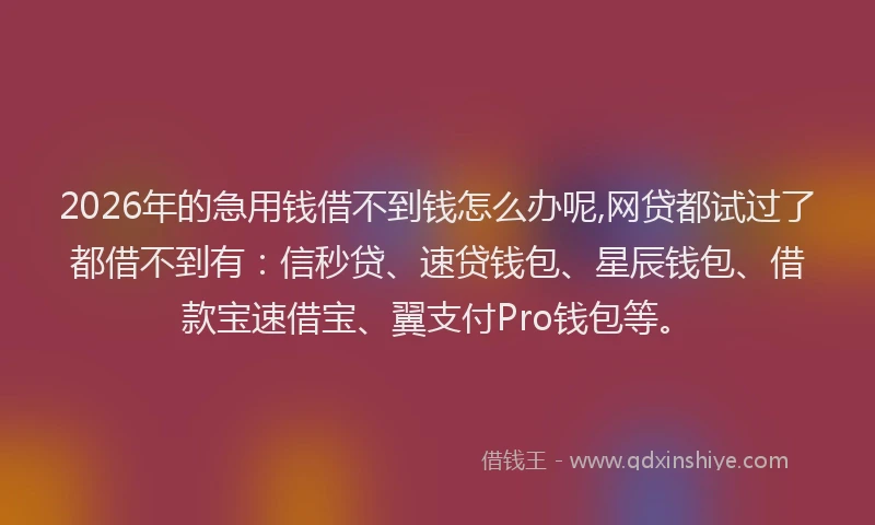 2026年的急用钱借不到钱怎么办呢,网贷都试过了都借不到有：信秒贷、速贷钱包、星辰钱包、借款宝速借宝、翼支付Pro钱包等。