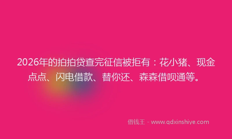 2026年的拍拍贷查完征信被拒有:花小猪、现金点点、闪电借款、替你还、森森借呗通等。