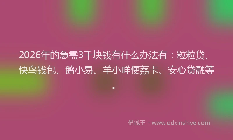 2026年的急需3千块钱有什么办法有:粒粒贷、快鸟钱包、鹅小易、羊小咩便荔卡、安心贷融等。