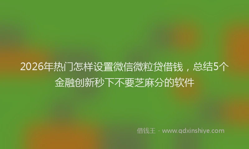 2026年热门怎样设置微信微粒贷借钱，总结5个金融创新秒下不要芝麻分的软件