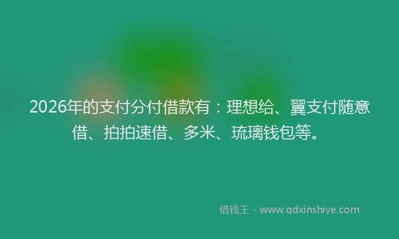 2026年的支付分付借款有：理想给、翼支付随意借、拍拍速借、多米、琉璃钱包等。