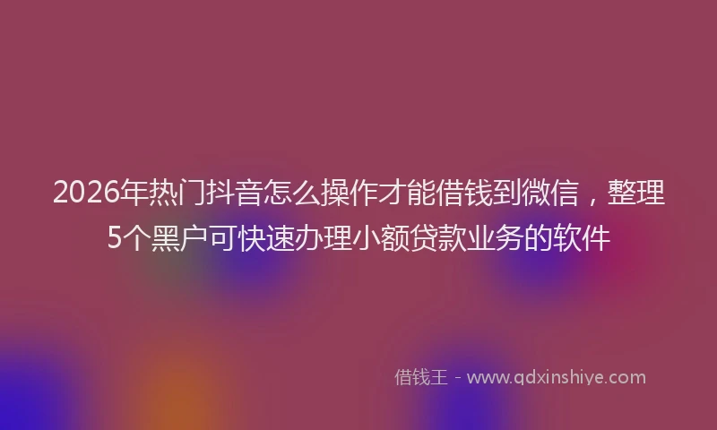 2026年热门抖音怎么操作才能借钱到微信，整理5个黑户可快速办理小额贷款业务的软件