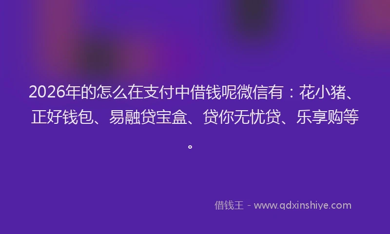 2026年的怎么在支付中借钱呢微信有：花小猪、正好钱包、易融贷宝盒、贷你无忧贷、乐享购等。