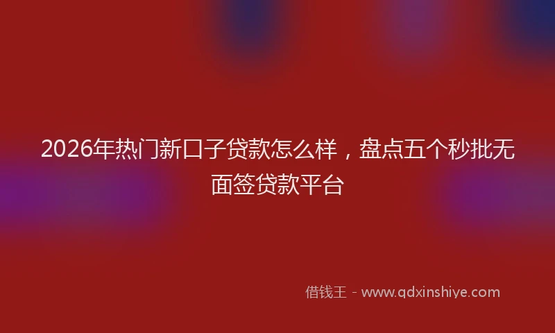 2026年热门新口子贷款怎么样，盘点五个秒批无面签贷款平台