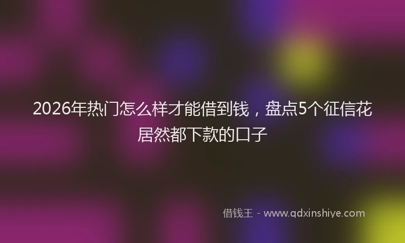 2026年热门怎么样才能借到钱，盘点5个征信花居然都下款的口子