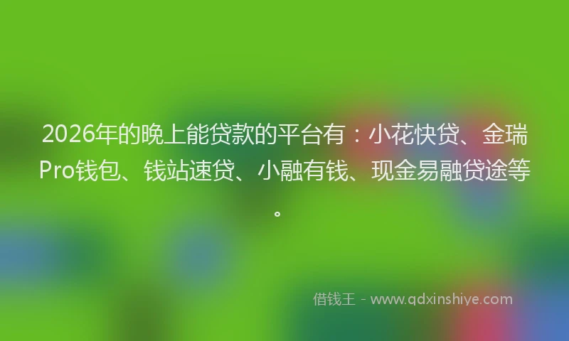 2026年的晚上能贷款的平台有：小花快贷、金瑞Pro钱包、钱站速贷、小融有钱、现金易融贷途等。