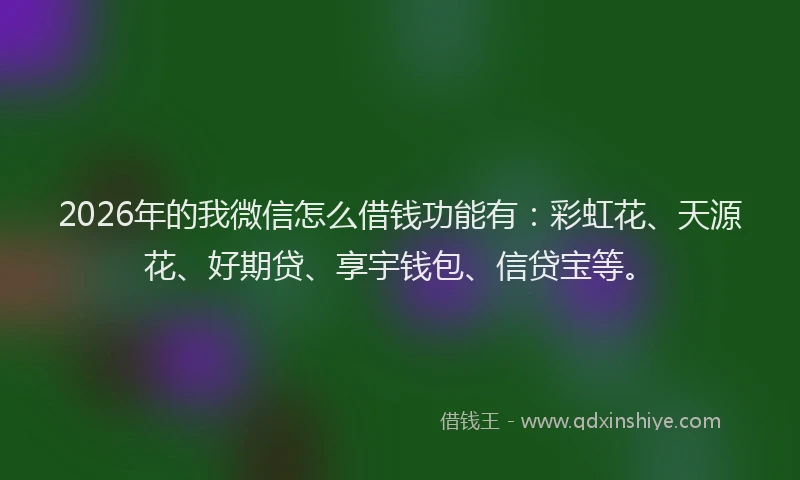 2026年的我微信怎么借钱功能有：彩虹花、天源花、好期贷、享宇钱包、信贷宝等。