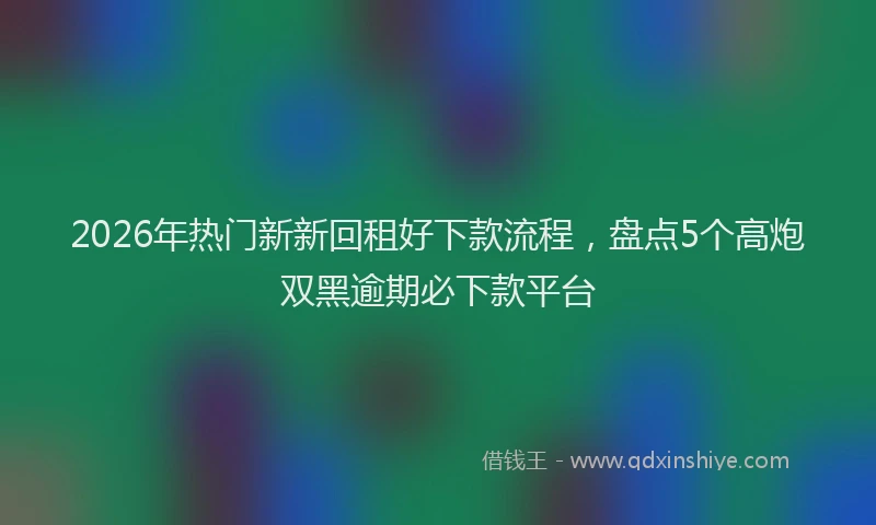 2026年热门新新回租好下款流程，盘点5个高炮双黑逾期必下款平台